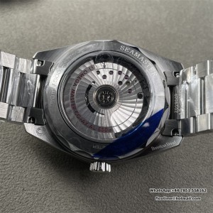 Aqua Terra 38mm SS/SS Grey Dial VSF VS8806 - Image 8