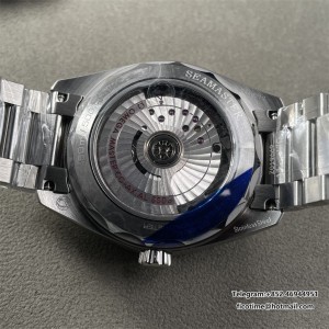 Aqua Terra 38mm SS/SS Grey Dial VSF VS8806 - Image 8