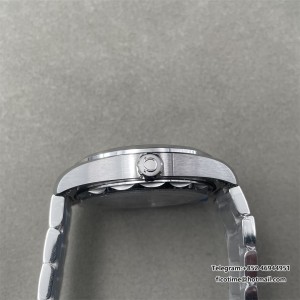 Aqua Terra 150M 38mm SS/SS Silv VSF VS8800 - Image 3