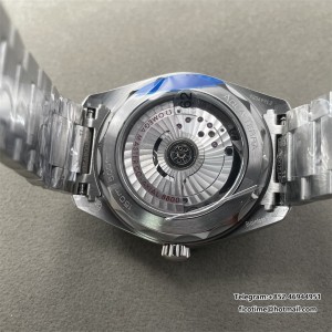 Aqua Terra 150M 38mm SS/SS Grn VSF VS8800 - Image 8